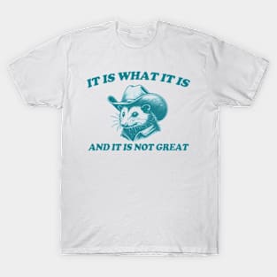 It Is What It Is And It Is Not Great Funny Possum T-Shirt